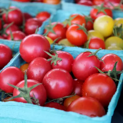 Fresh tomatoes at the Elkhart Farmers Market