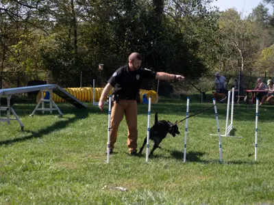 Police K9 training at Waggin' in the Woods event