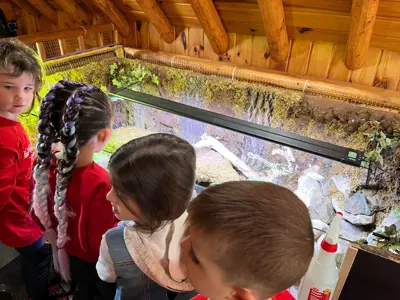 Kids looking checking out box turtle habitat at EEC