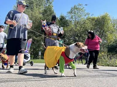 Dogs in costume at Waggin' in the Woods event