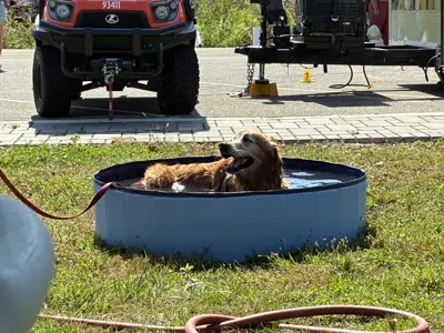Gold Retriever laying in mini pool at Waggin' in the Woods event