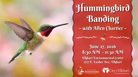 promotional graphic for Hummingbird Banding with Allen Chartier