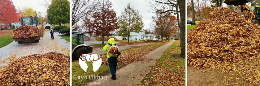 Leaf Removal Program