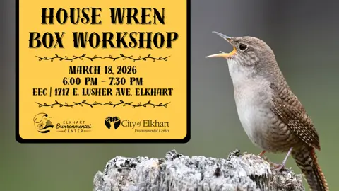 promotional graphic for House Wren Box Workshop