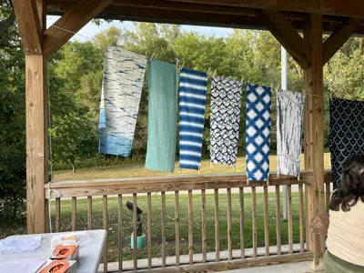 Fabrics dyed with natural resources at program at EEC