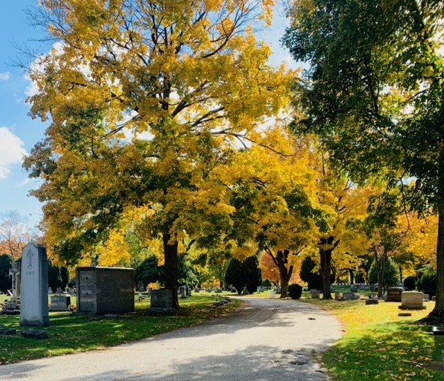 Road in Rice Cemetery lined with trees showing bright yellow autumn leaves and headstones under a blue sky