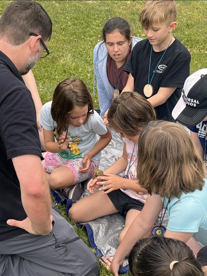 A group of kids and teacher gathered around a frog