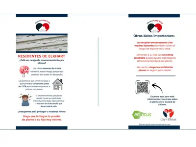 risk for lead poisoning